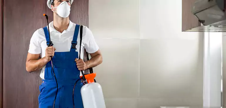 Why Modesto Homeowners Choose Us When Pests Make Selling Difficult