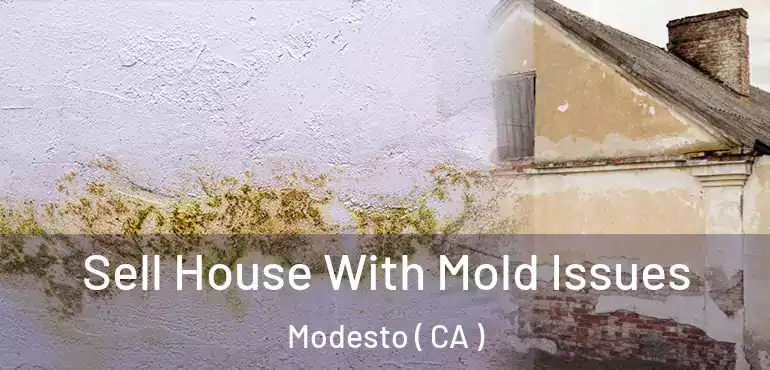  Sell House With Mold Issues Modesto ( CA )
